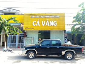 bảng hiệu lam sóng chữ nổi cá vàng